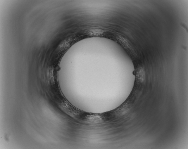 X0000102250572200808081413