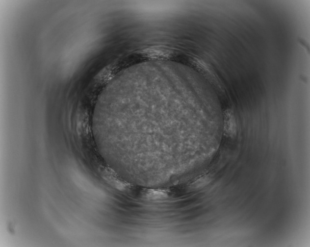 X0000102250573200808081413