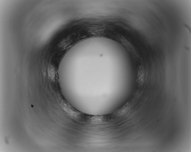 X0000102250574200808081413