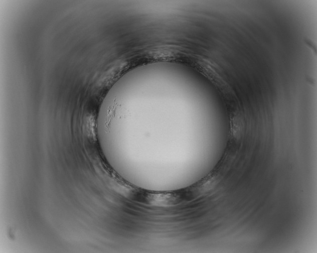 X0000102250575200808081413