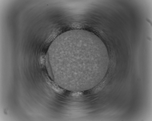 X0000102250576200808081413