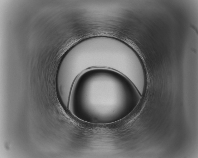 X0000102250577200808081413