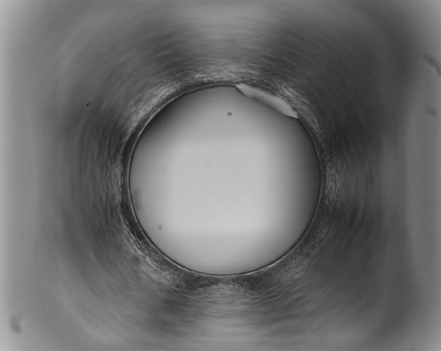 X0000102250578200808081413