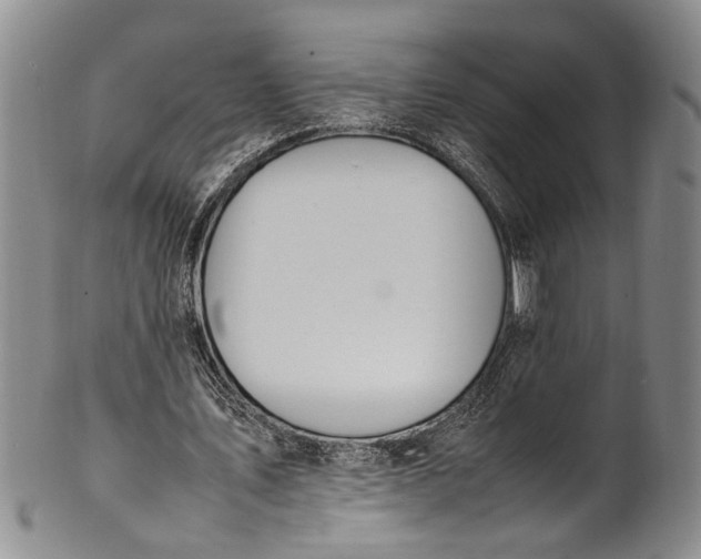 X0000102250579200808081413