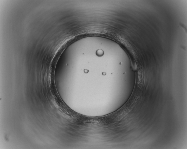 X0000102250580200808081413