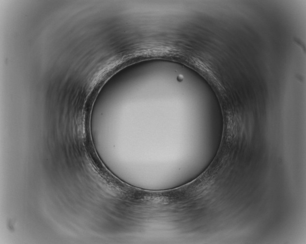 X0000102250582200808081413