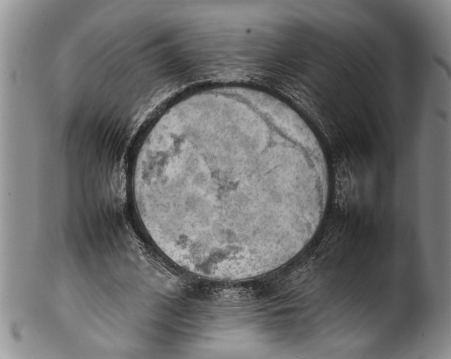 X0000102250584200808081413