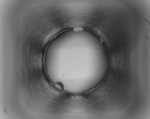 X0000102250586200808081413