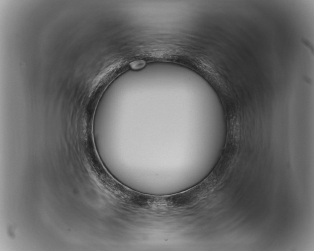 X0000102250587200808081413