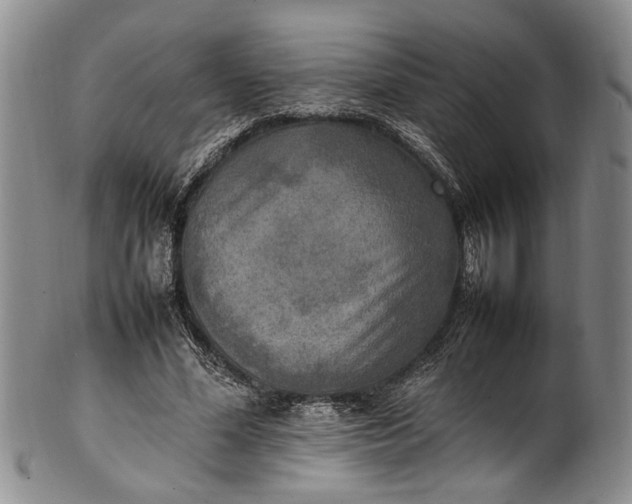 X0000102250588200808081413