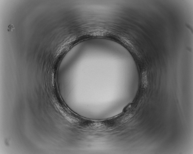 X0000102250589200808081413