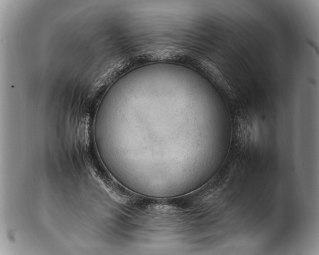 X0000102250590200808081412