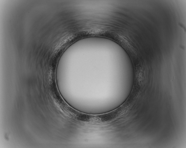 X0000102250591200808081412