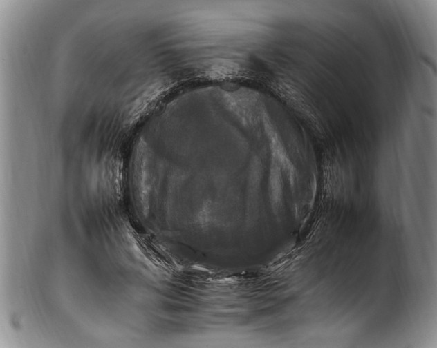 X0000102250592200808081412