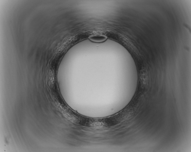 X0000102250593200808081412