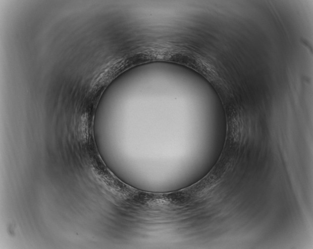 X0000102250594200808081412