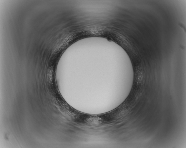 X0000102250595200808081412