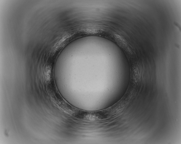 X0000102250596200808081412