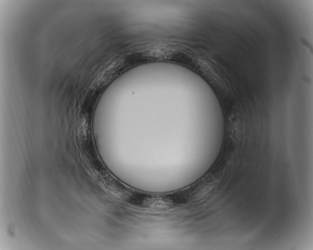 X0000102250597200808081412