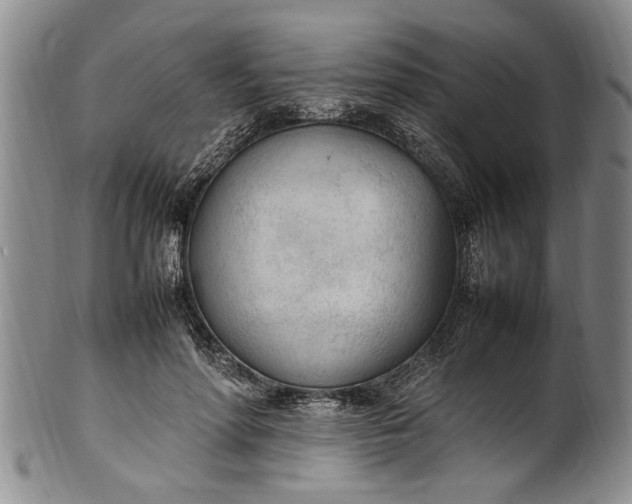 X0000102250598200808081412