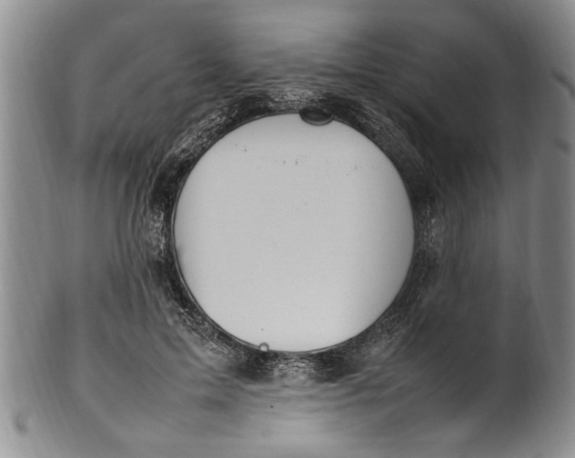 X0000102250599200808081412