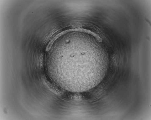 X0000102250600200808081412