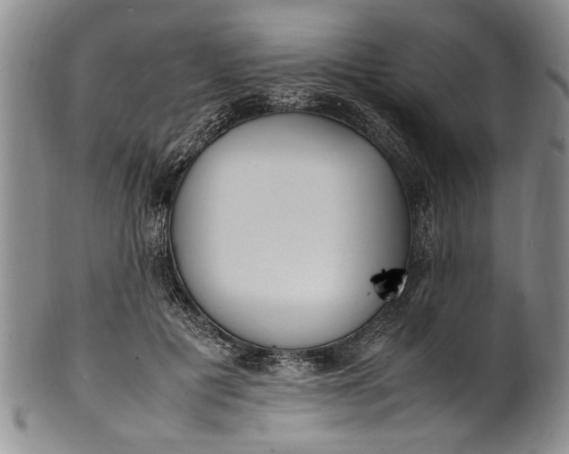 X0000102250601200808081412