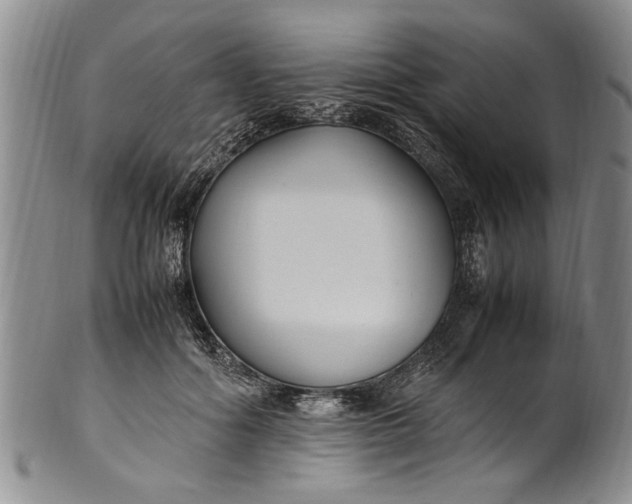 X0000102250602200808081412