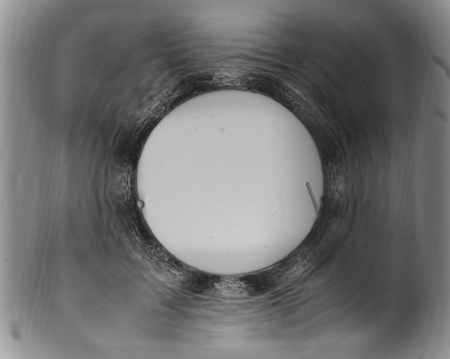 X0000102250603200808081412