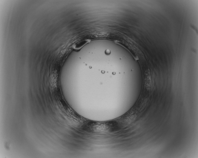 X0000102250604200808081412