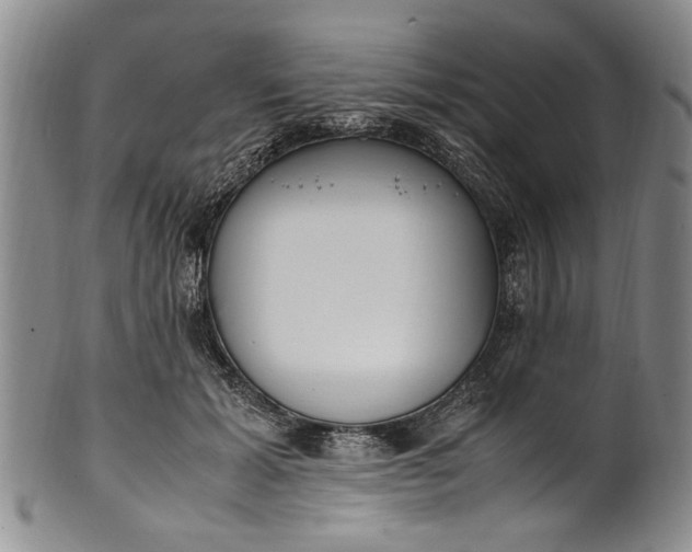 X0000102250605200808081412