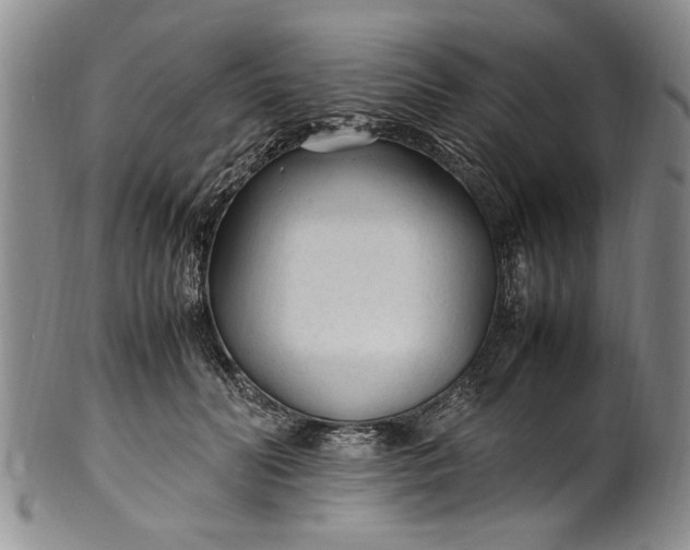 X0000102250606200808081412