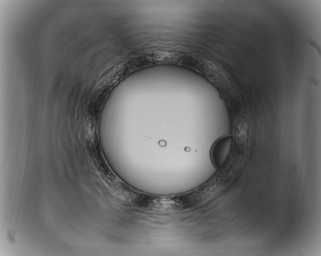 X0000102250607200808081412