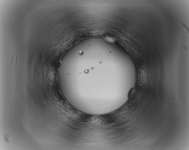 X0000102250608200808081412