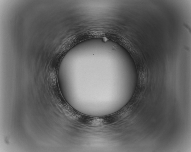 X0000102250609200808081412