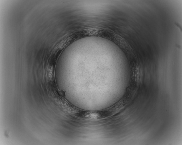 X0000102250610200808081412