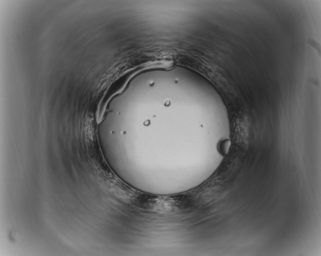 X0000102250612200808081412