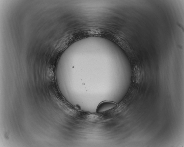 X0000102250614200808081412