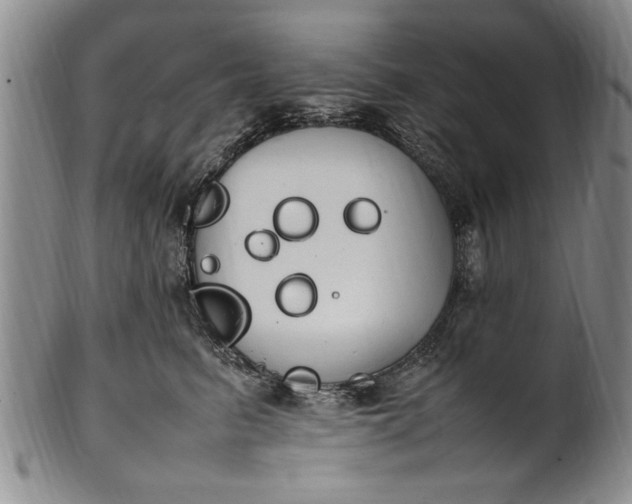 X0000102250615200808081412