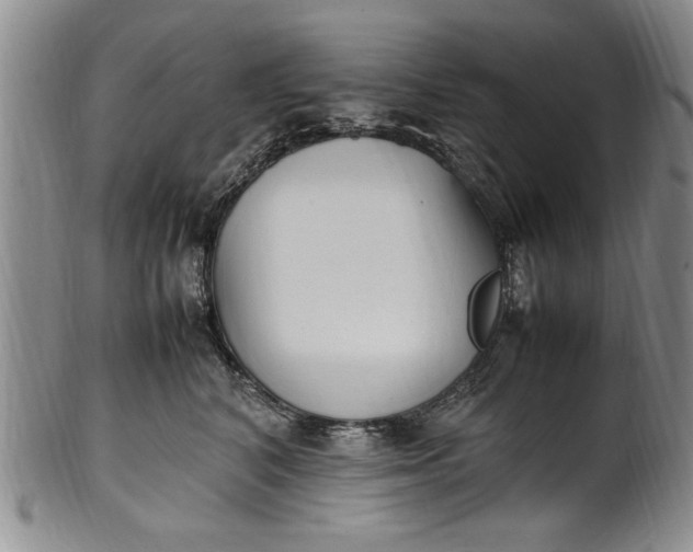 X0000102250616200808081412