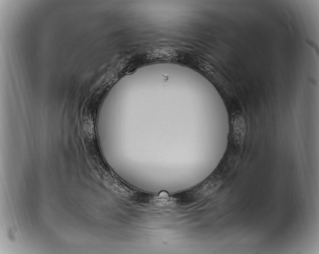 X0000102250617200808081412