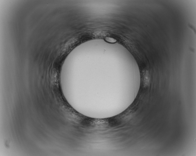 X0000102250619200808081412