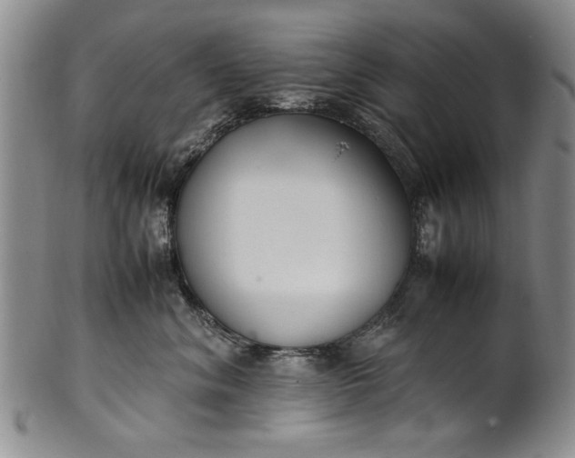 X0000102250620200808081412