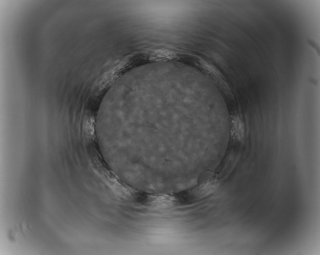 X0000102250621200808081412