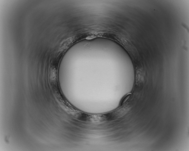 X0000102250623200808081412