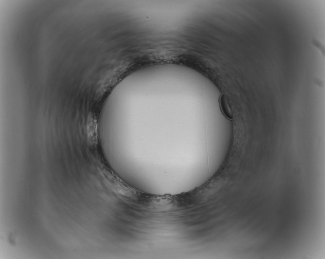 X0000102250624200808081412