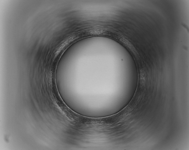 X0000102250626200808081411