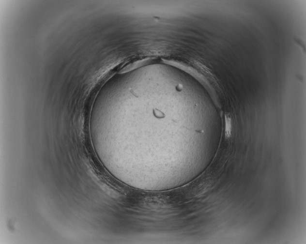 X0000102250627200808081411