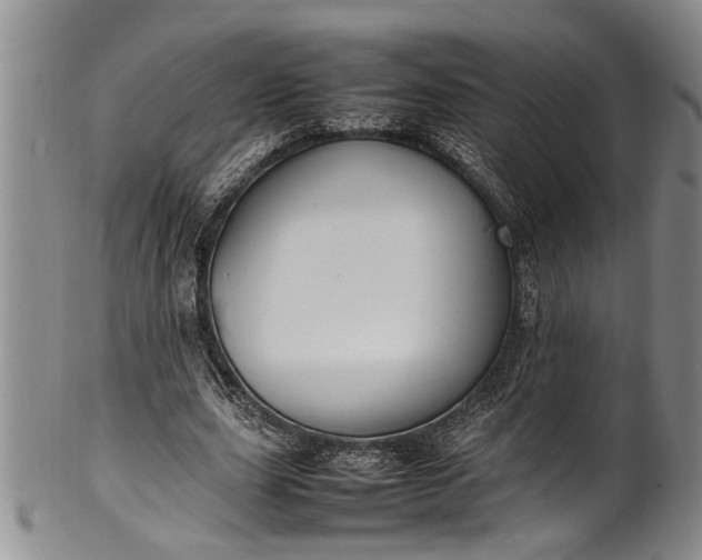 X0000102250631200808081411