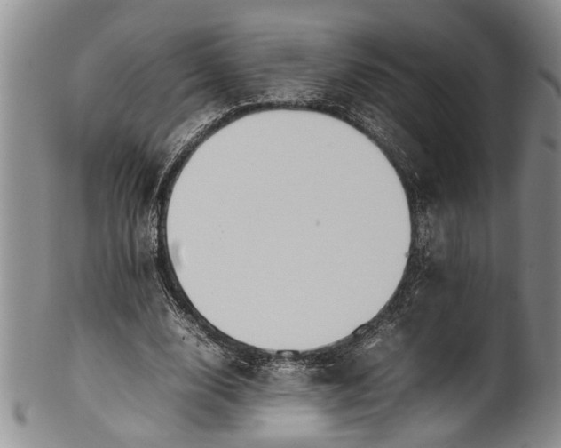 X0000102250632200808081411